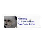 Sweet Bichon Frise Label