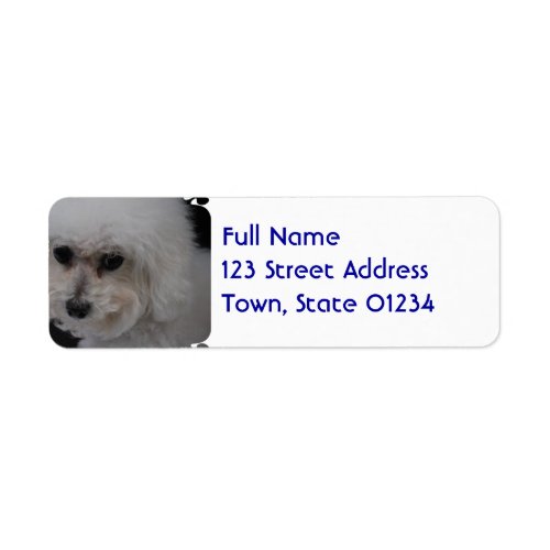Sweet Bichon Frise Label