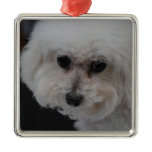 Sweet Bichon Frise Metal Ornament