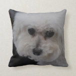 Sweet Bichon Frise Throw Pillow