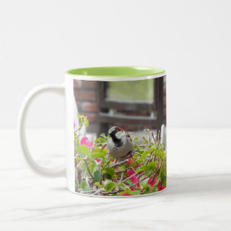 Sweet Bird Mug