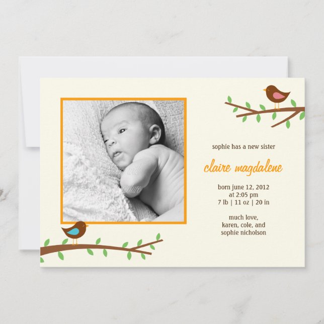 Sweet Birdies Baby Birth Announcement (Front)