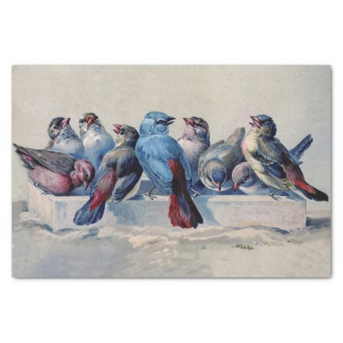 Sweet Birds with blue and red feathers watercolor  Tissue Paper