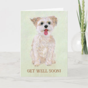 Sweet Biscuit Get Well Card