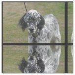 Sweet Black and White English Setter Fabric