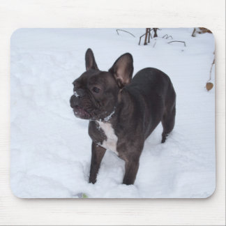 Sweet Black French Bulldog Likes Snow Mouse Pad