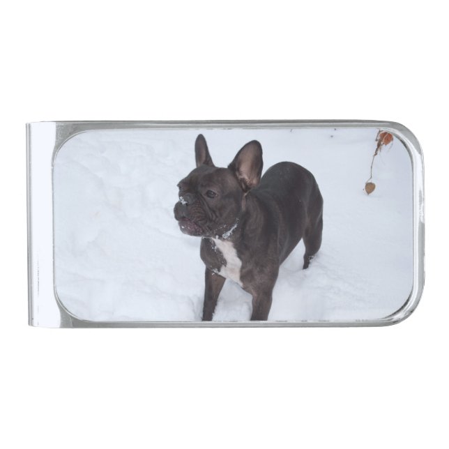 Sweet Black French Bulldog Likes Snow Silver Finish Money Clip (Front)