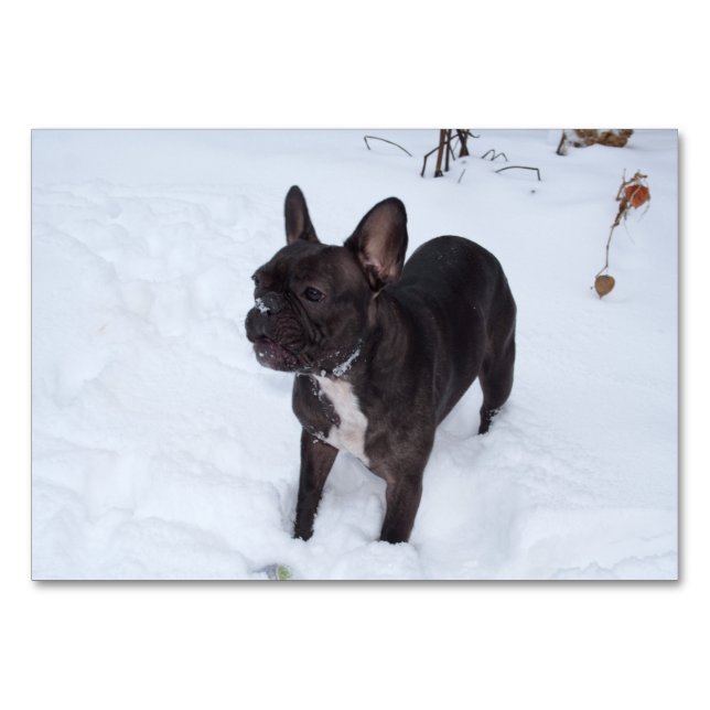 Sweet Black French Bulldog Likes Snow Table Number (Front)
