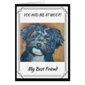 SWEET BLACK HAVANESE (Front)