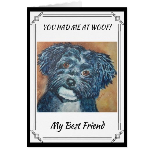 SWEET BLACK HAVANESE CARDS (Front)