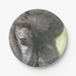 Sweet Black Poodle Paper Plates