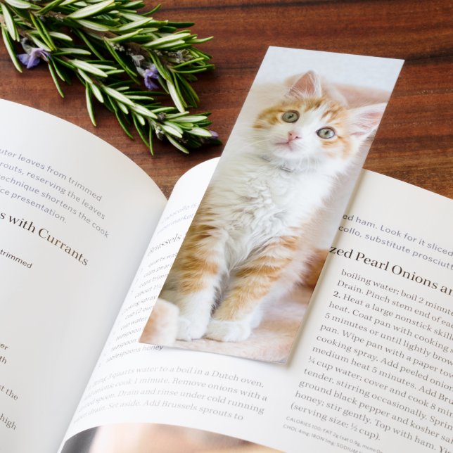 Sweet Blue Eyed Kitty Bookmarks (Book)