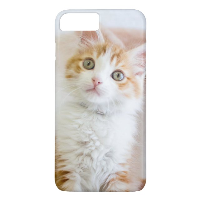 Sweet Blue Eyed Kitty Case-Mate iPhone Case (Back)