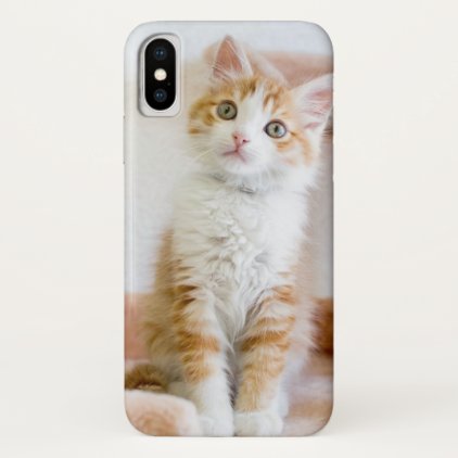 Sweet Blue Eyed Kitty iPhone X Case