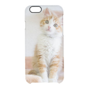 Sweet Blue Eyed Kitty Clear iPhone 6/6S Case