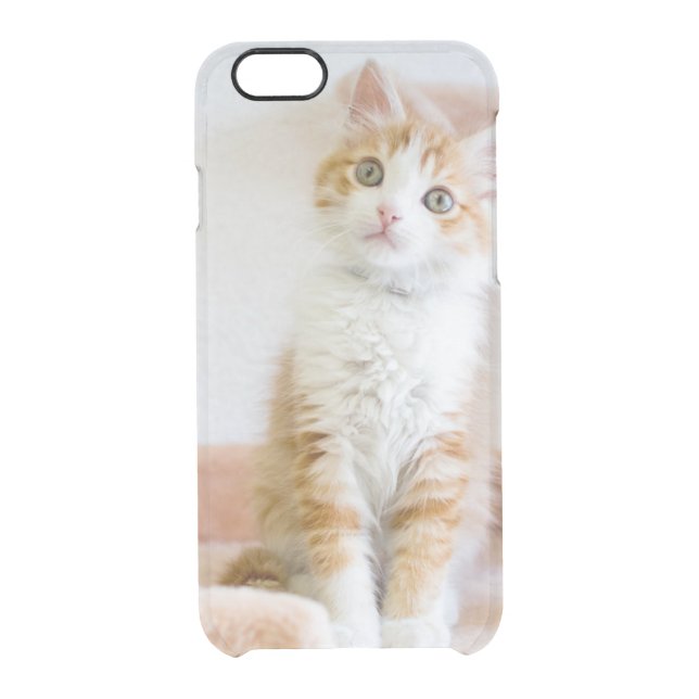 Sweet Blue Eyed Kitty Uncommon iPhone Case (Back)