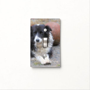 Sweet Border Collie Dog With Ball Light Switch Cover