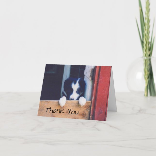 Sweet Border Collie Puppy Dog Thank You Card (Front)