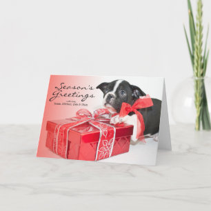 Sweet Boston Terrier puppy Holiday Card