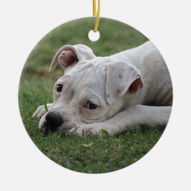 Sweet Boxer Puppy Ceramic Ornament (Front)