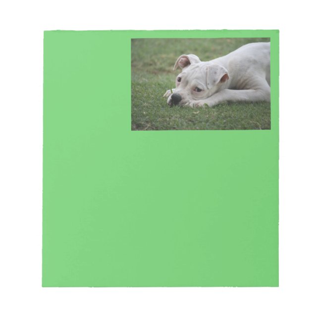 Sweet Boxer Puppy Notepad (Front)