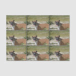 Sweet Boxer Tissue Paper