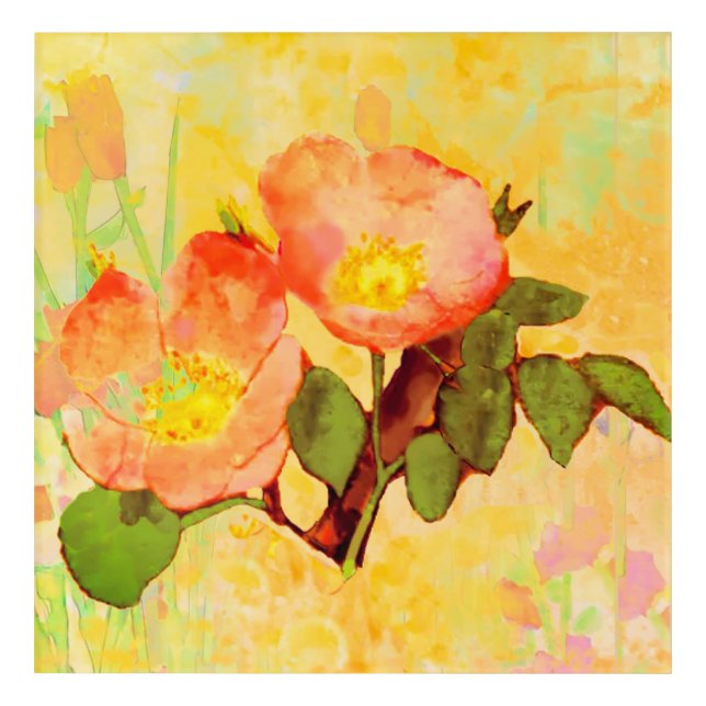 Sweet Briar Canvas Print Colorful Acrylic Print (Front)