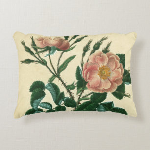 Sweet Briar Rose Decorative Pillow