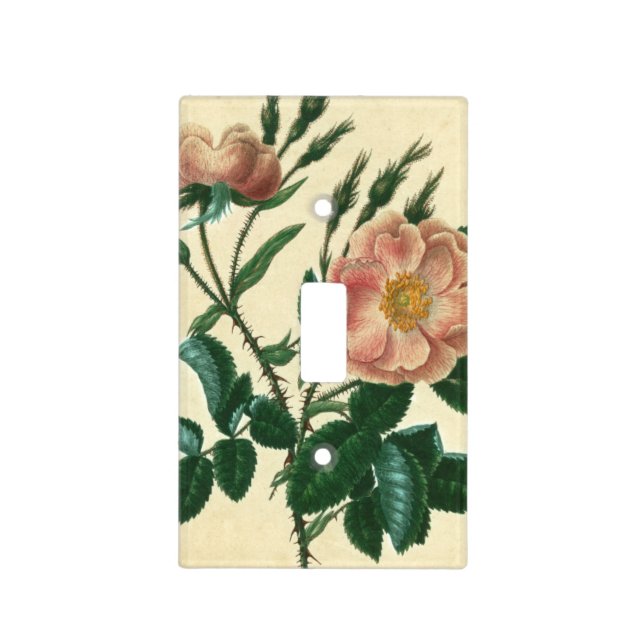 Sweet Briar Rose Light Switch Cover (Front)