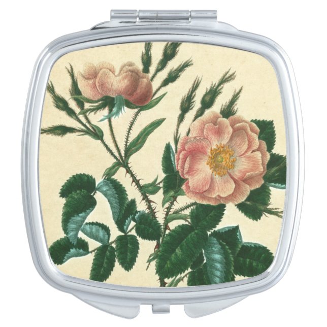 Sweet Briar Rose Makeup Mirror (Front)