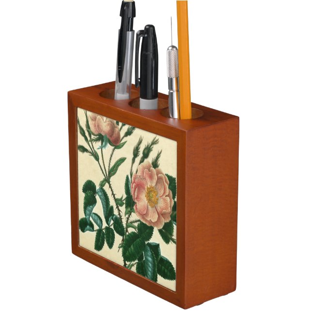 Sweet Briar Rose Pencil/Pen Holder (In Situ)