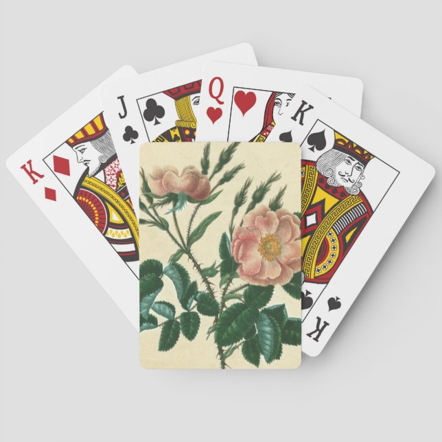 Sweet Briar Rose Poker Cards (Back)