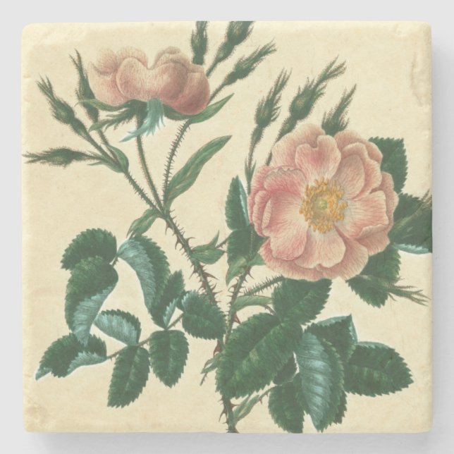Sweet Briar Rose Stone Coaster (Front)