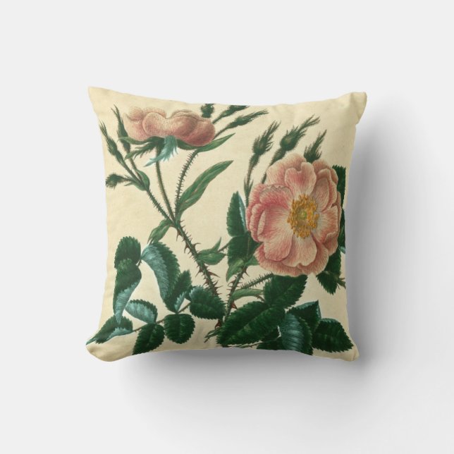Sweet Briar Rose Throw Pillow (Front)