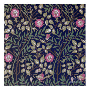 Sweet Briar, William Morris Acrylic Print