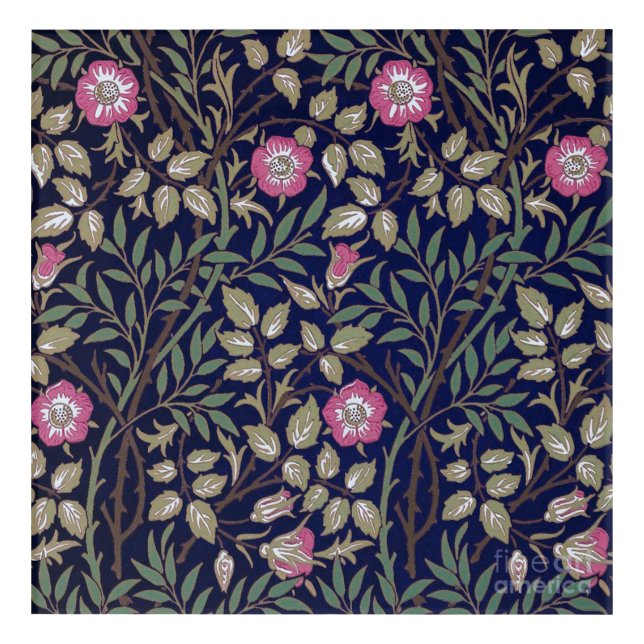 Sweet Briar, William Morris Acrylic Print (Front)