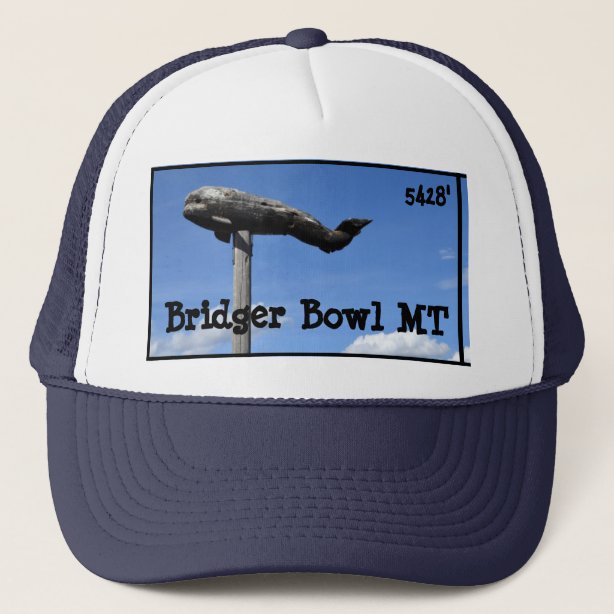 bridger bowl whale