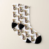 Sweet Brindle Staffordshire Terrier Original Art   Socks