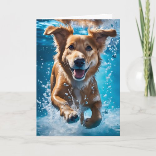 Sweet Brown and White Dog Splashing in the Water Card