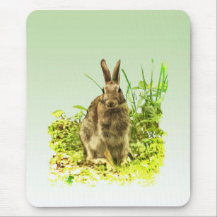 Sweet Brown Bunny Rabbit in Green Grass Mousepad