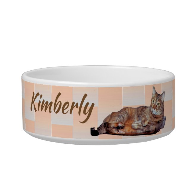 Sweet Brown Tabby Cat Orange Pattern Pet Bowl
