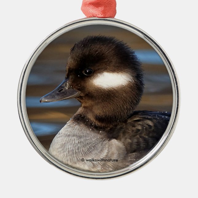Sweet Bufflehead Duck on Sunlit Waters Metal Ornament (Front)