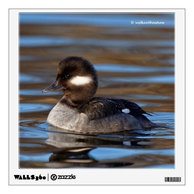Sweet Bufflehead Duck on Sunlit Waters Wall Decal (Front)