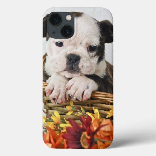 Sweet Bulldog Puppy iPhone 13 Case