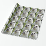 Sweet Bulldog Wrapping Paper
