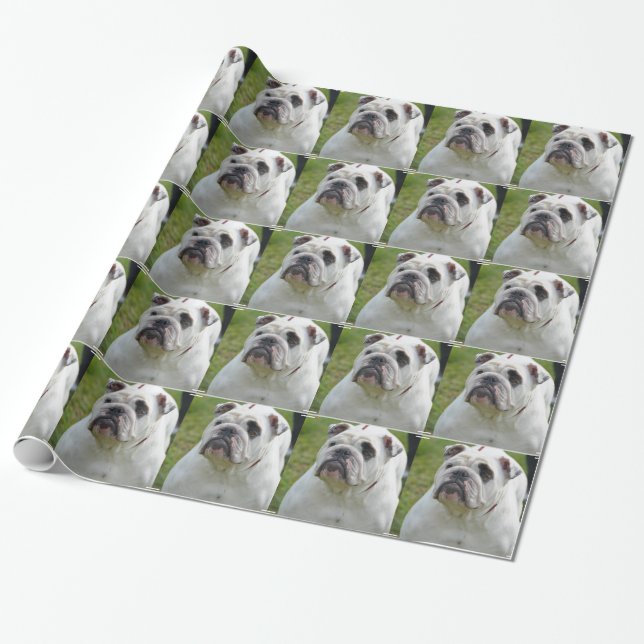 Sweet Bulldog Wrapping Paper (Unrolled)