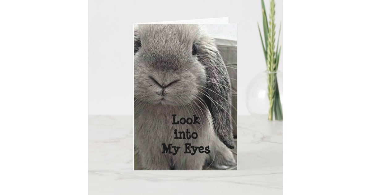 sweet bunny hopping by to say happy birthday card zazzle com