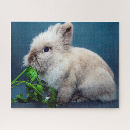 Sweet Bunny Jigsaw Puzzle