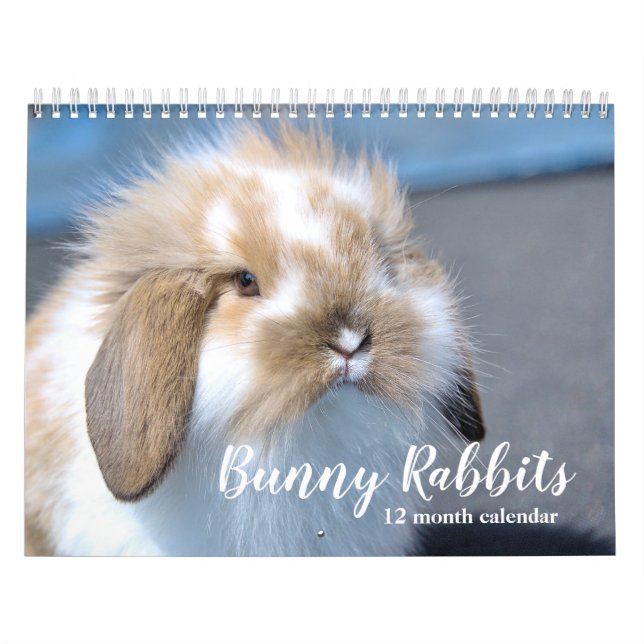 Sweet Bunny Rabbits 2026 Calendar (Cover)