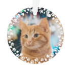 Sweet Cat Photo Christmas Paw Prints and Hearts